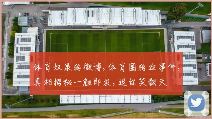 体育奴隶狗微博,体育圈狗血事件,真相揭秘一触即发,逗你笑翻天